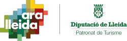 LOGO DIPUTACIÓ ARA LLEIDA